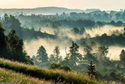 Kolejny region z bonem. Samorząd zdecydował, kiedy rusza pilotaż