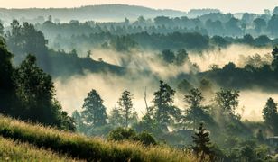 Kolejny region z bonem. Samorząd zdecydował, kiedy rusza pilotaż