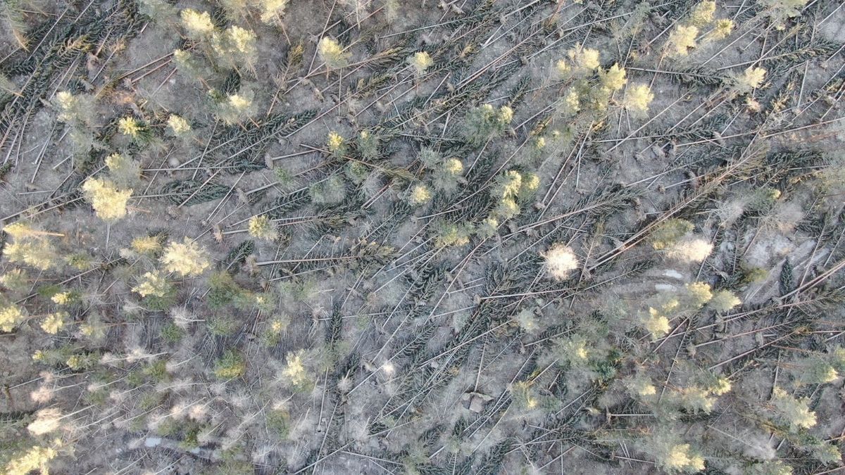 Skutki sztormu Johannes