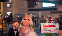 Koniec związku Piggy i Kermita. Imagine Dragons z Muppetami