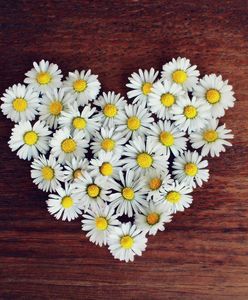 Walentynki 2021. Wybierz najlepsze życzenia na walentynki dla ukochanej osoby