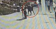 Warszawa: Brutalne pobicie w centrum. Mężczyzna zaatakował 20-letniego obywatela Ukrainy w kryzysie bezdomności. Poszkodowany jest w stanie krytycznym