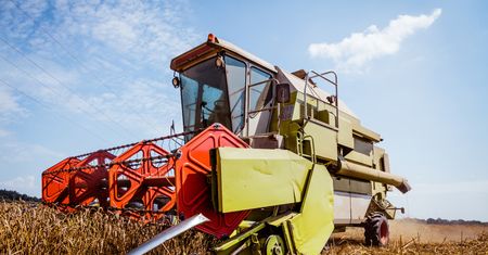 "Złote kolby" niszczą maszyny rolników. Straty liczą w setkach tysięcy