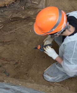 Prokuratura wstrzymała prace ekshumacyjne prowadzone przez IPN na warszawskim Służewcu