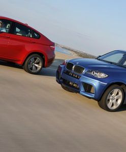 Najwięksi członkowie klubu M