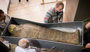 Mumia mężczyzny z Muzeum Narodowego w Warszawie okazała się... kobietą