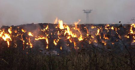 Pożar cukrowni  - zdjęcia Internauty