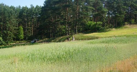 Dzwonowo - polskie miasto z XIV wieku zostało odkryte dzięki zdjęciom lotniczym