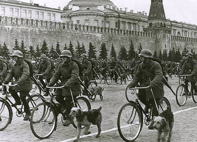 Psy przeciwpancerne w Armii Czerwonej