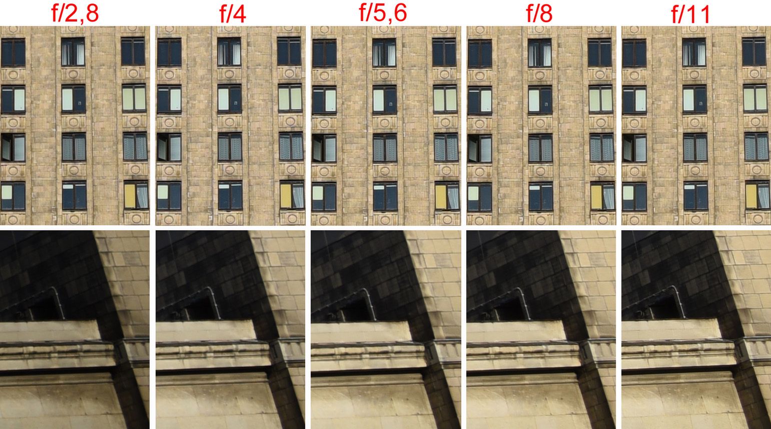 Nowy wzorzec standardowego zooma? Test Nikkora 24-70 mm f/2.8E ED VR 11