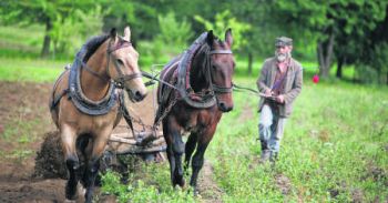 Agencja Nieruchomości Rolnych do likwidacji. Ziemia dla rolników, grunty nierolne dostaną samorządy