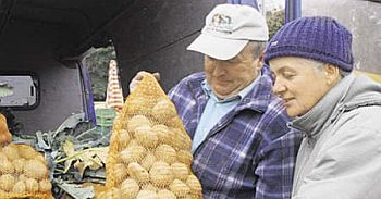 Rolnicy płaczą, bo ziemniaki popadły w niełaskę u konsumentów