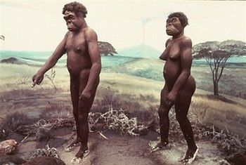 Ty neandertalu