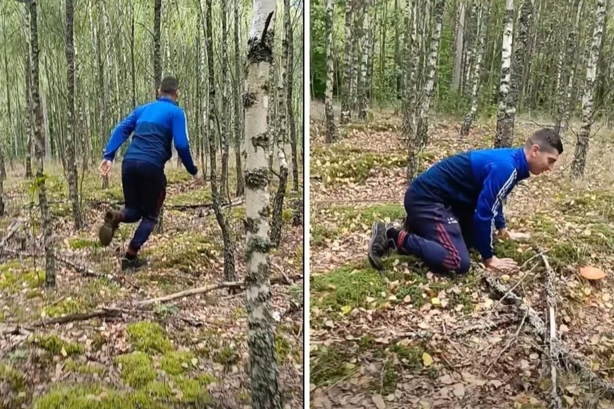 Szedł przez las. Nagle zaczął biec. "Z daleka go dojrzałem"
