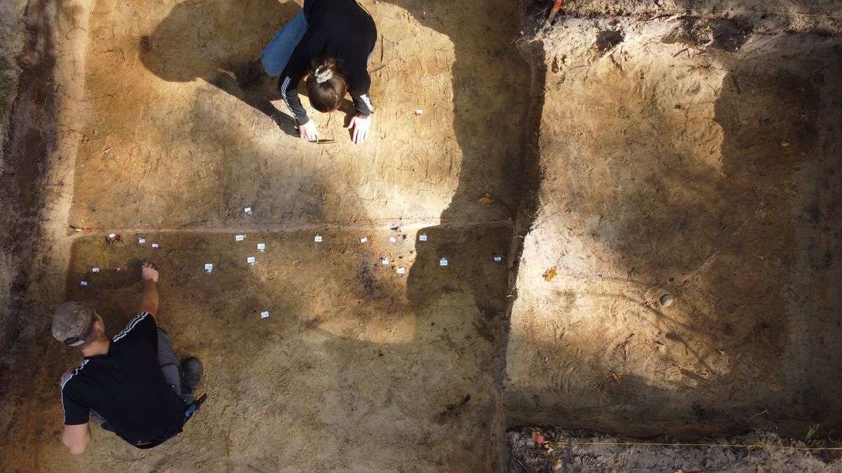 Niezwykłe odkrycie w Polsce. Archeolodzy trafili na unikat