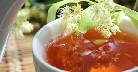 Prosty przepis na syrop z kwiatów lipy. Organizm będzie wdzięczny
