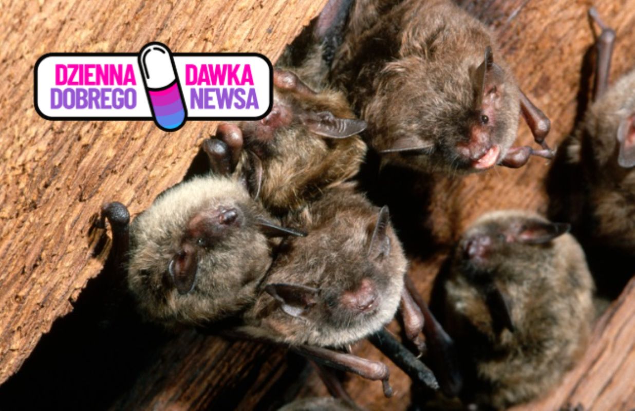 Naukowcy z Wrocławia szykują się na rekord. Policzą je 25. raz