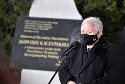 Kaczyński w Starachowicach. "Wynocha, hańba"