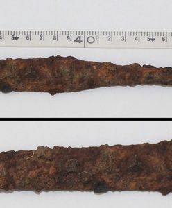 Grot sprzed 1000 lat i karabin z XIX wieku. Bezcenne znaleziska na Lubelszczyźnie