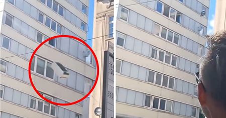 Nie chciało im się nosić. Wyrzucili lodówkę z 9. piętra