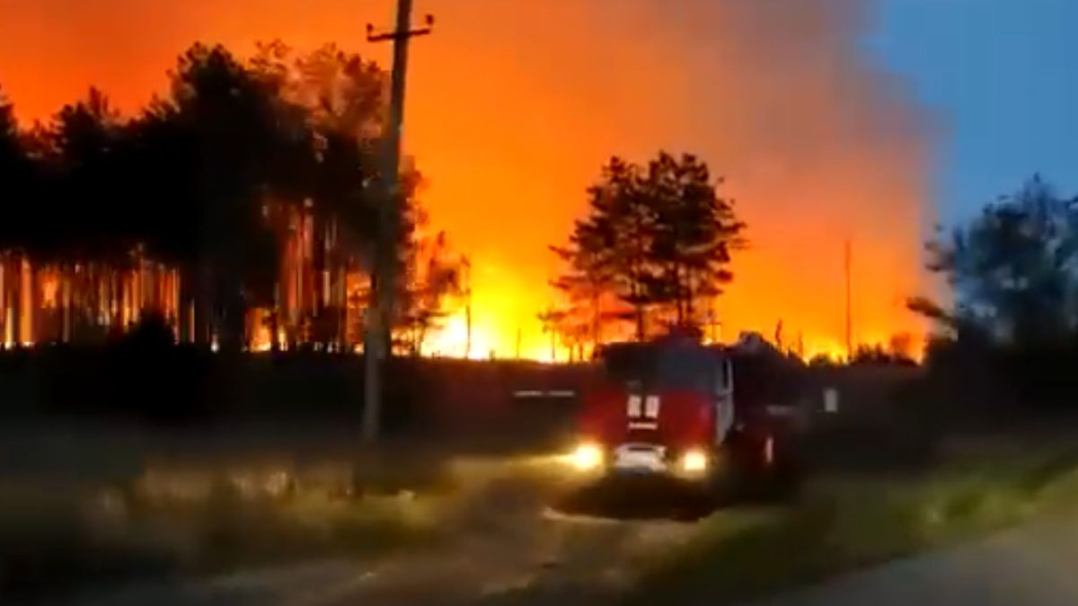 Płoną lasy w obwodzie rostowskim