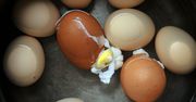 Nagminny błąd. Jajka na pewno pękną w czasie gotowania