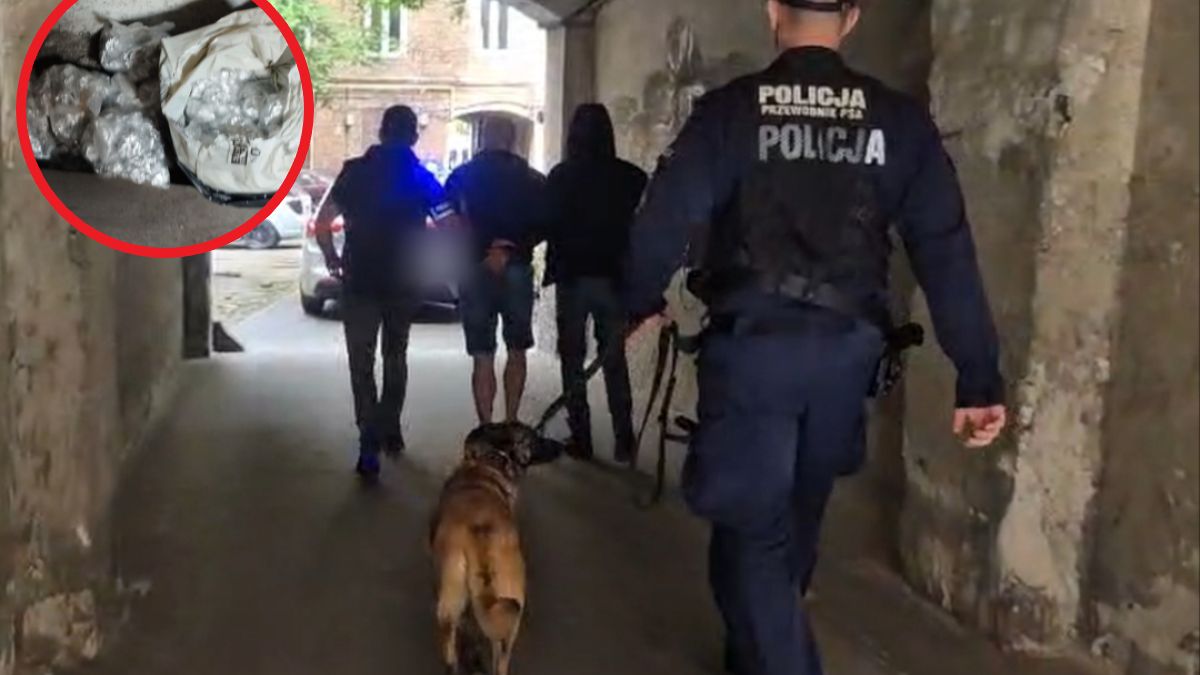 Narkotyki na dachu budynku