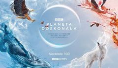 Smolik z Zalewskim autorami nowej wersji „Kolorowego wiatru”. Teledysk promuje serial BBC Earth