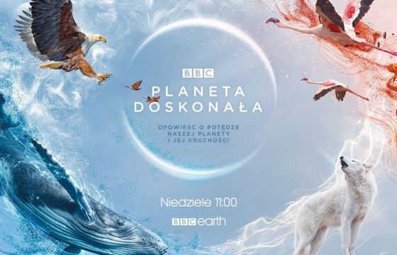 Smolik z Zalewskim autorami nowej wersji „Kolorowego wiatru”. Teledysk promuje serial BBC Earth
