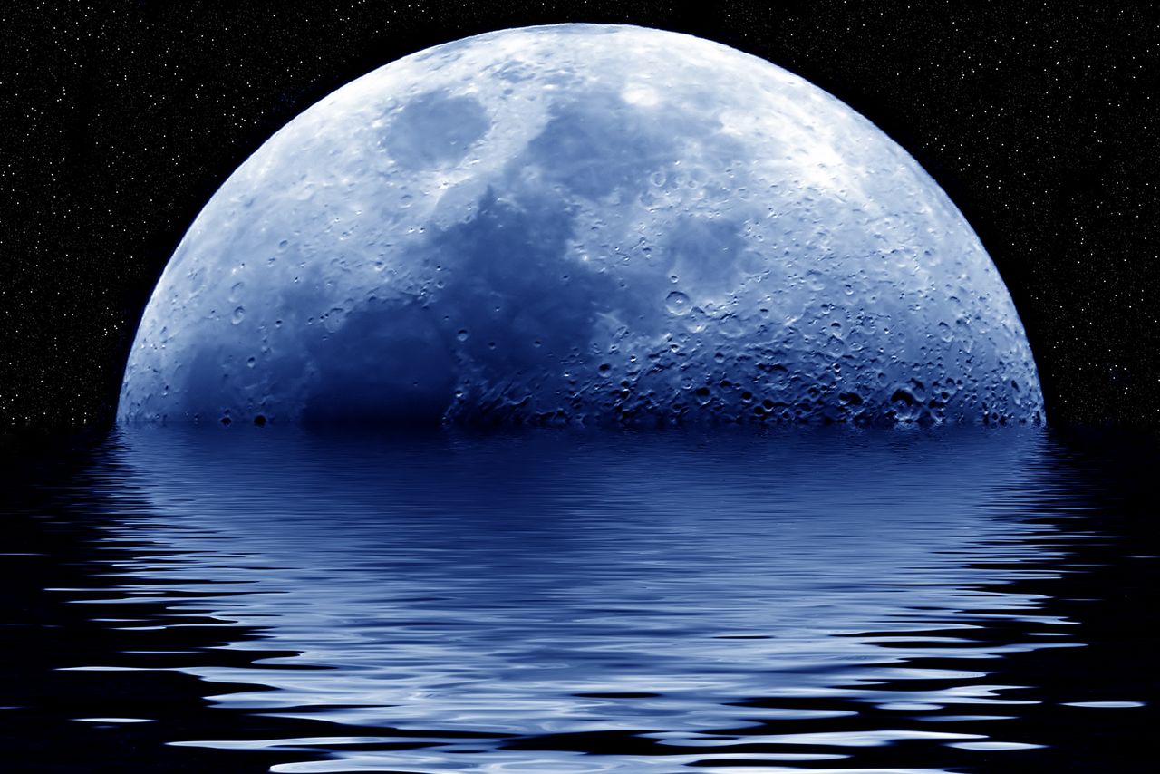 Pale Moon idzie swoją drogą: wprowadza wersję 64-bit i zrywa z Windows XP