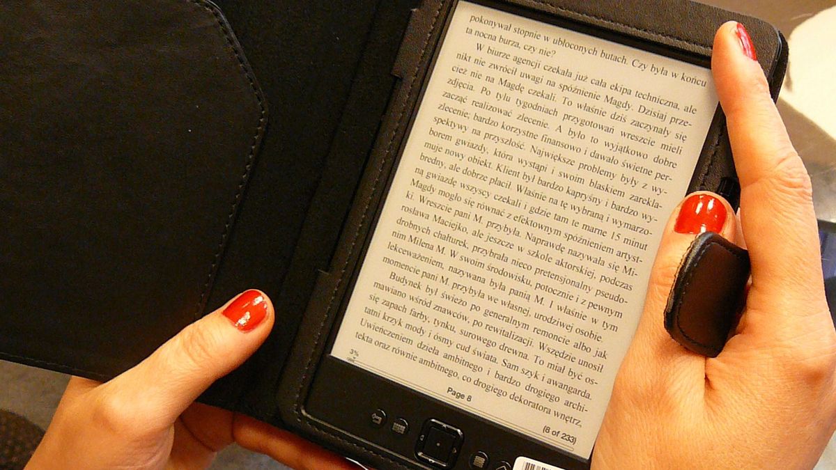 Zdjęcie jednego z dostępnych czytników