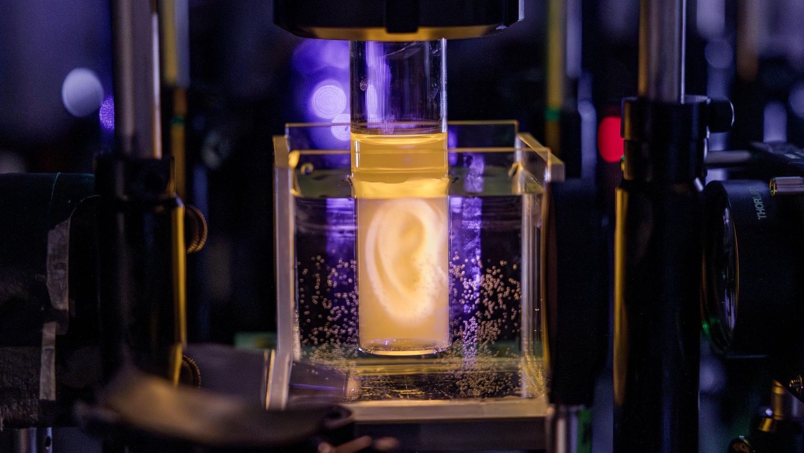 Hologramy wydrukowały w 3D ludzkie ucho. Przełom w medycynie?