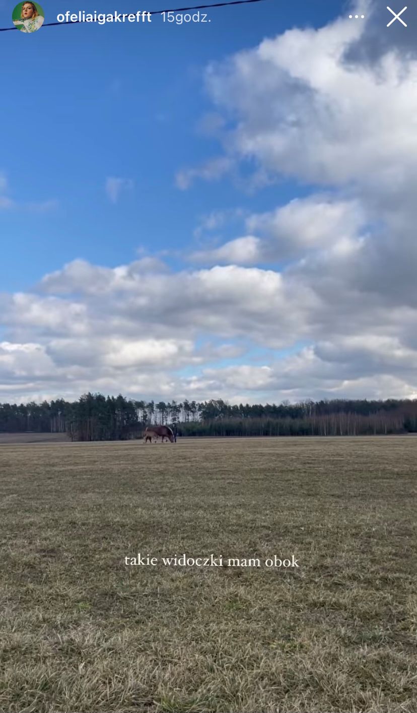 Iga Krefft / Ofelia pokazała swój dom