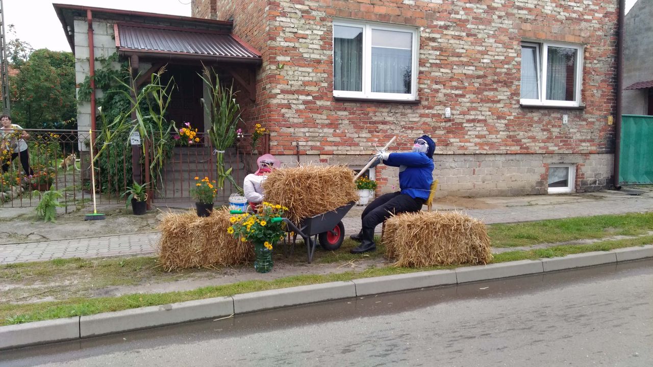 Święto plonów powiatu pilskiego w tym roku w Starej Łubiance