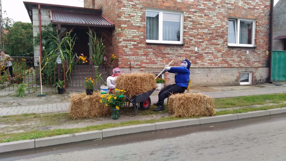 zdjęcie