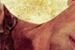 ''Kula w łeb'': Sylvester Stallone z chęcią zemsty na nowym plakacie [foto]
