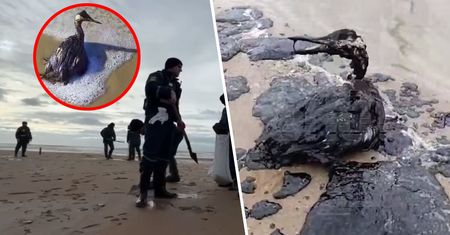 Początek katastrofy. Dramatyczne nagrania z rosyjskich plaż