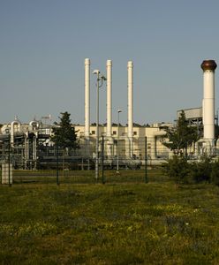 "W niedzielę gazociągi będą puste". Jest komunikat z Danii