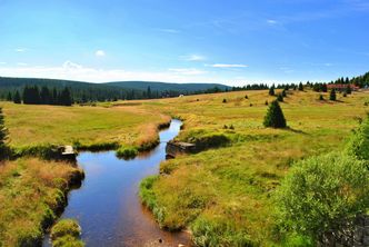 Urbanizacja terenów zalewowych — jak wpływa na środowisko naturalne?