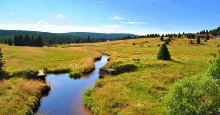 Urbanizacja terenów zalewowych — jak wpływa na środowisko naturalne?
