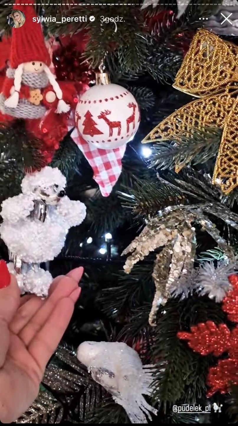 Sylwia Peretti ubrała dom na święta
