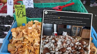 Wysyp grzybów na południu Polski. Ile dziś kosztują?