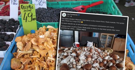 Wysyp grzybów na południu Polski. Ile dziś kosztują?