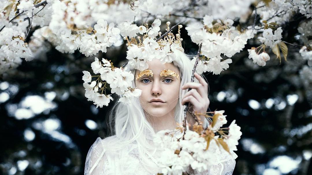 Bella Kotak przenosi widza w świat bajek, pełny przepięknych wróżek 1