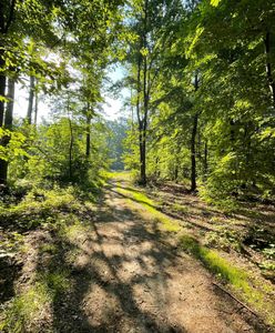 Pogoda. Wrocław. 12 sierpnia - wracają upały. Zapowiada się piękny weekend