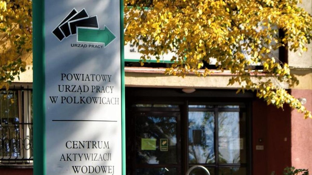 AI zwiększy bezrobocie, zdjęcie poglądowe