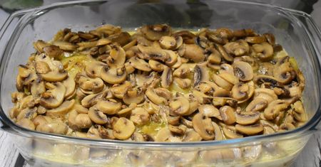 Konkurencja dla ryby po grecku. Sum w sosie śmietanowo-pieczarkowym
