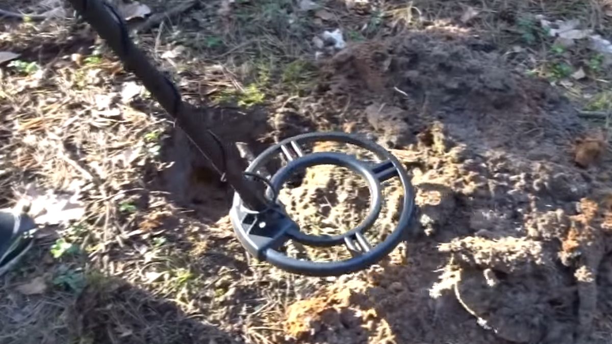 Amunicja z II wojny światowej w lesie. Przyjechała policja