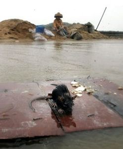 21 ofiar burzy tropikalnej w Chinach