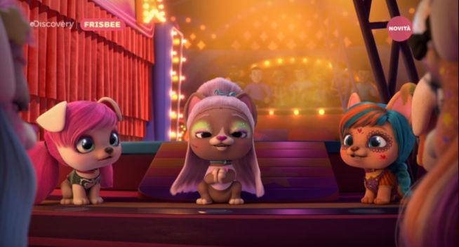 Nieobecne w Polsce kanały Discovery nadawane z pojemności TVN